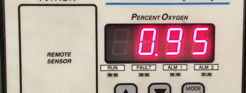 Can I Have Multiple Purity Levels on a Nitrogen Generator?