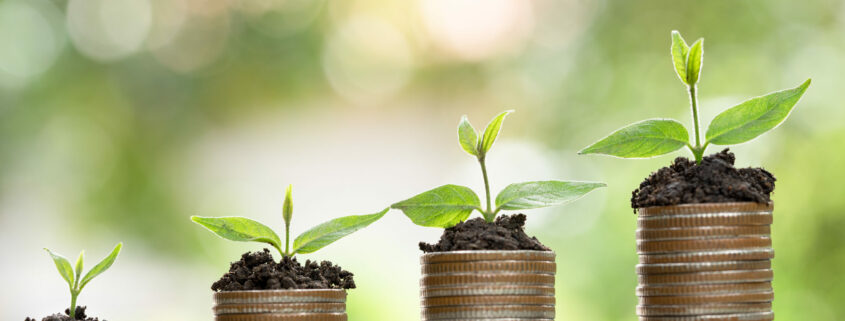 Looking For Nitrogen Gas Cylinders? Here’s A Cost-Effective Alternative