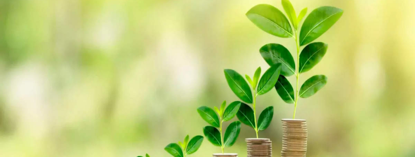 Why Businesses Are Switching to On-Site Oxygen Generation for Cost Savings