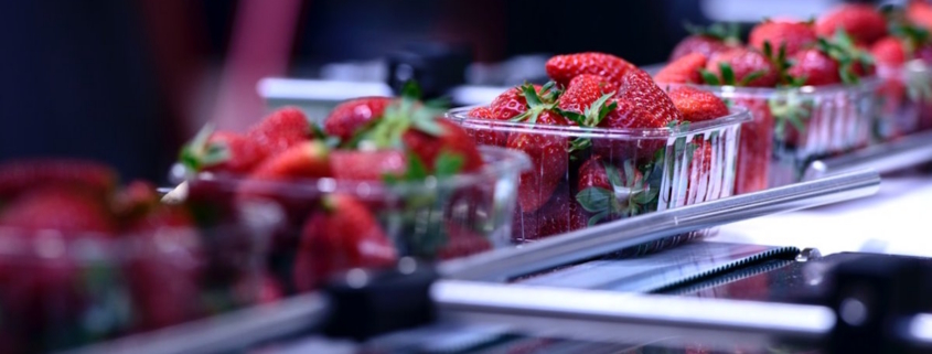 Nitrogen Gas Food Packaging